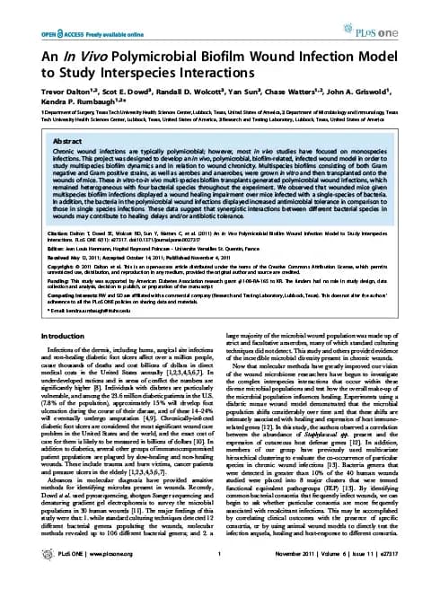 An in vivo polymicrobial biofilm wound infection model to study interspecies interactions.